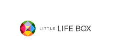 Little Life Box